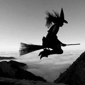 Meet your Posher, Dena